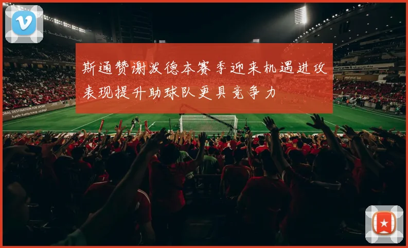 斯通赞谢泼德本赛季迎来机遇进攻表现提升助球队更具竞争力
